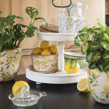 Załaduj obraz do przeglądarki galerii, Doniczka kamienna cytryny 16 x 9 cm Clayre Eef