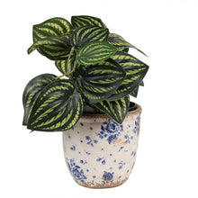 Załaduj obraz do przeglądarki galerii, Doniczka ceramiczna niebieskie róże 11 x 10 cm retro Clayre Eef