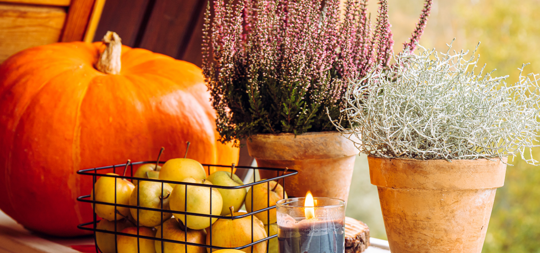 Dekoracje jesienne na okno – pomysły na klimatyczne aranżacje