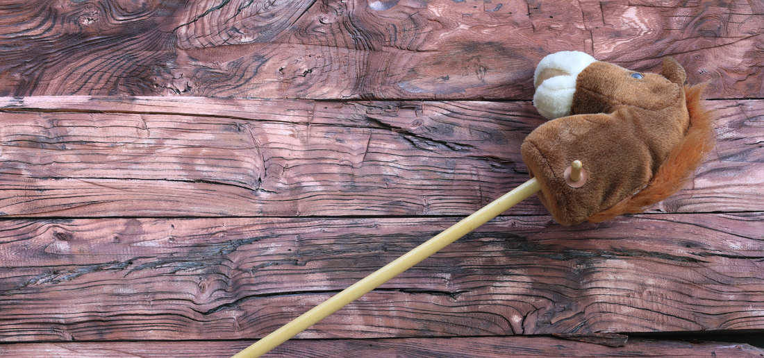 Hobby Horse dla dzieci – kreatywna zabawa i aktywność na co dzień