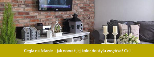 Cegła na ścianie – jak dobrać jej kolor do stylu wnętrza? Cz.II