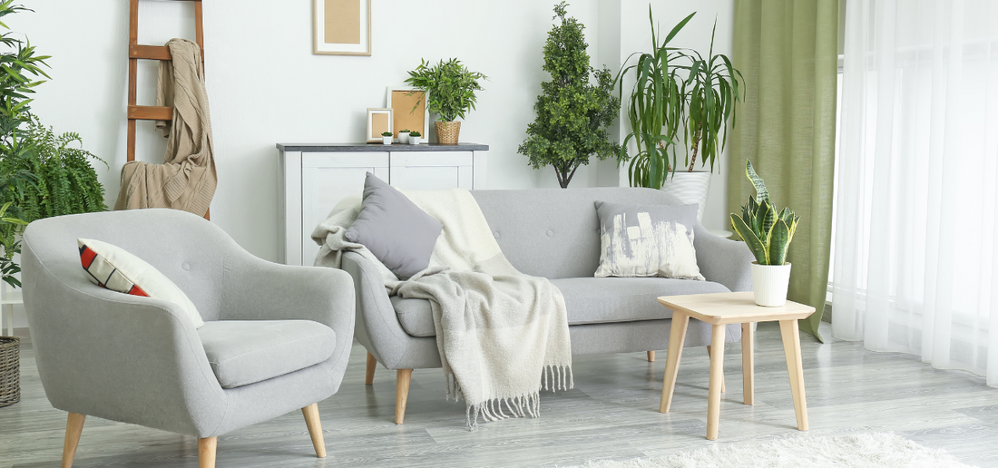 Doniczki w aranżacji wnętrz – dekoracja, która ożywia przestrzeń