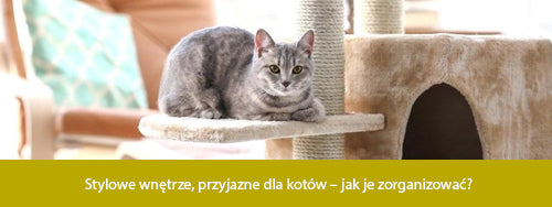 Stylowe wnętrze, przyjazne dla kotów – jak je zorganizować?
