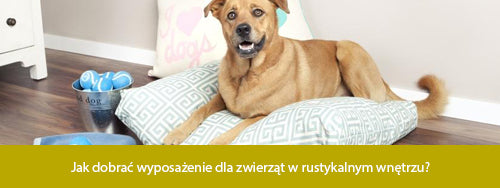 Jak dobrać wyposażenie dla zwierząt w rustykalnym wnętrzu?