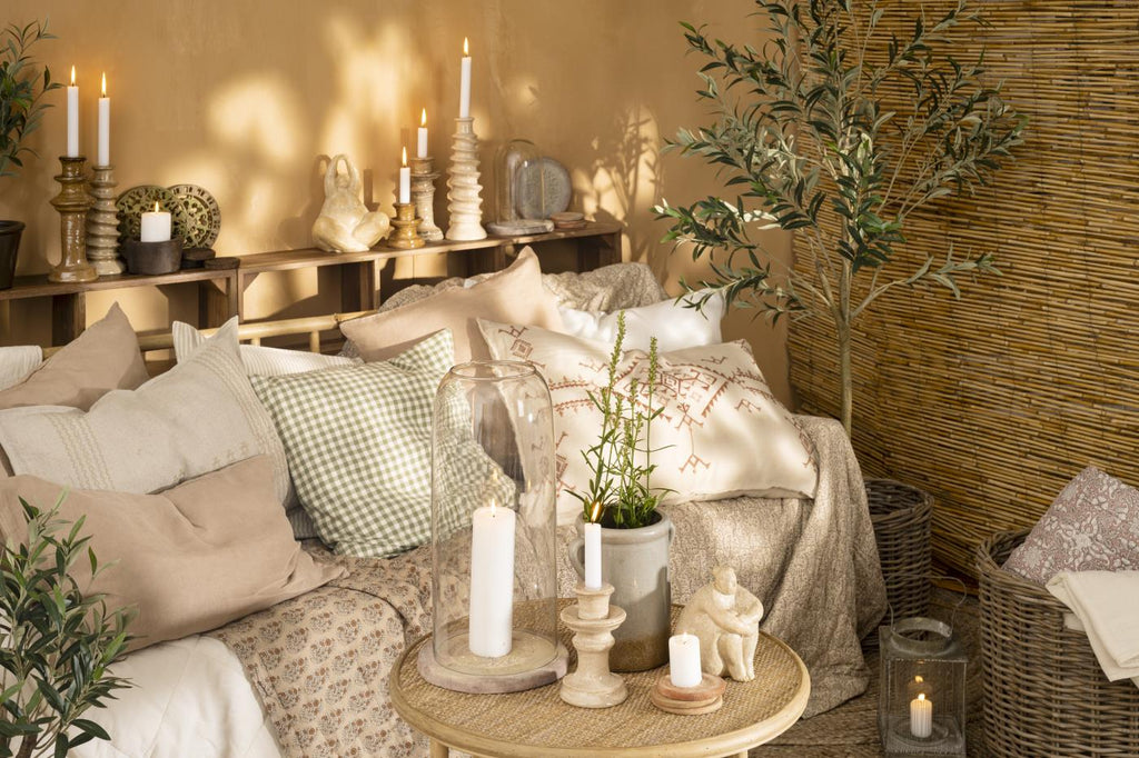 Drzewo oliwne w doniczce Ib Laursen