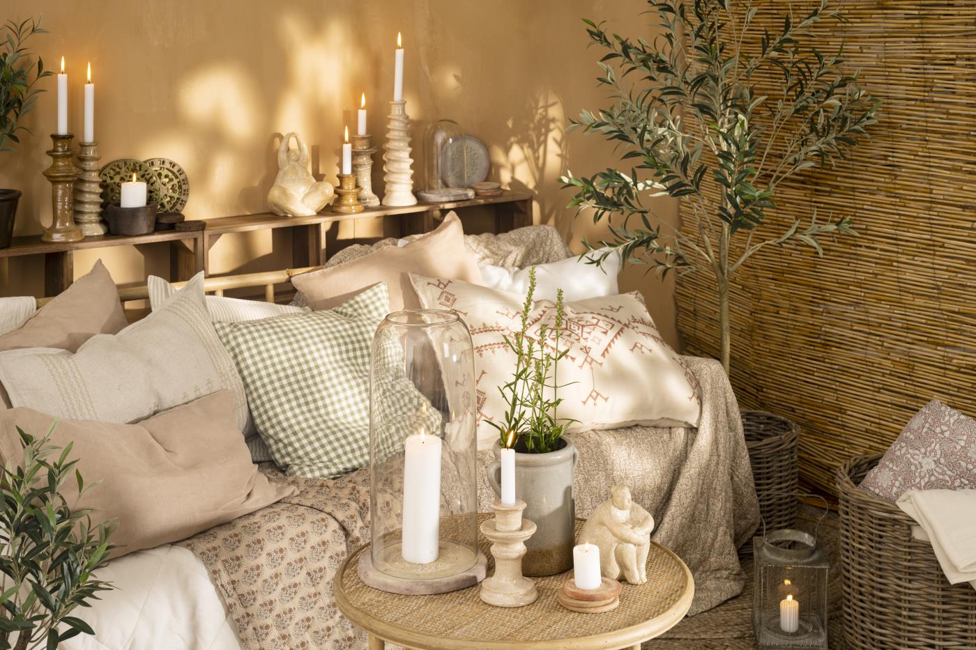 Drzewo oliwne w doniczce Ib Laursen