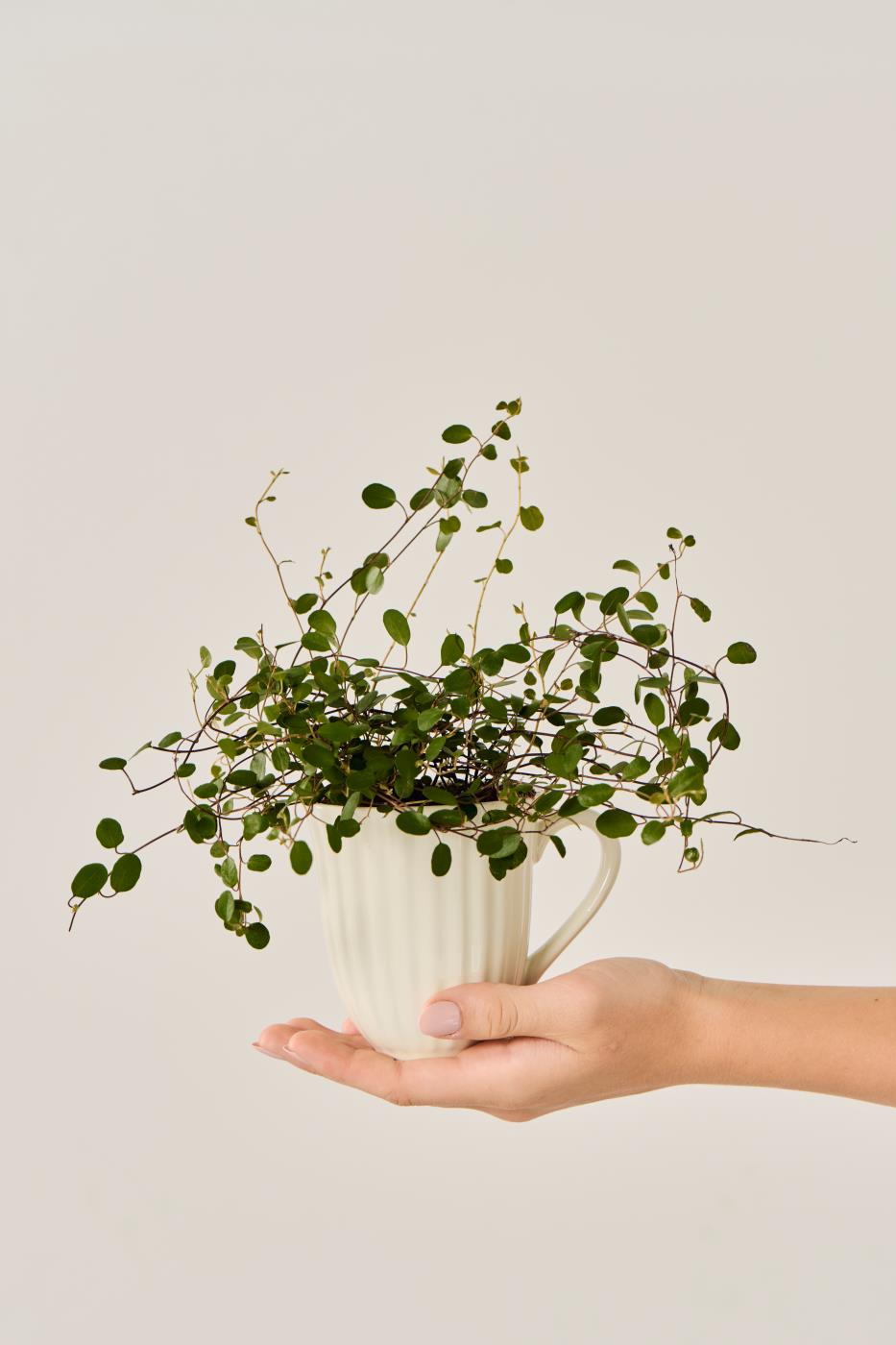 Kubek z rowkami Mynte kremowy Butter Cream Ib Laursen