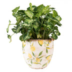 Doniczka kamienna cytryny 18 x 17 cm Clayre Eef