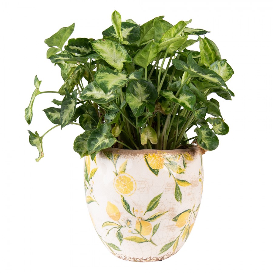 Doniczka kamienna cytryny 18 x 17 cm Clayre Eef