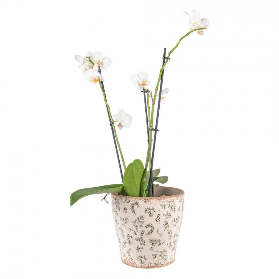 Doniczka ceramiczna zielono beżowa 17 x 15 cm retro Clayre Eef