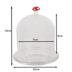 Szklana patera z kloszem z jesiennym grzybkiem 10 x 12 cm Clayre & Eef