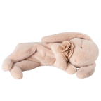 Maileg Pluszowy śpiący króliczek 19cm - SLEEPING BUNNY POWDER SMALL