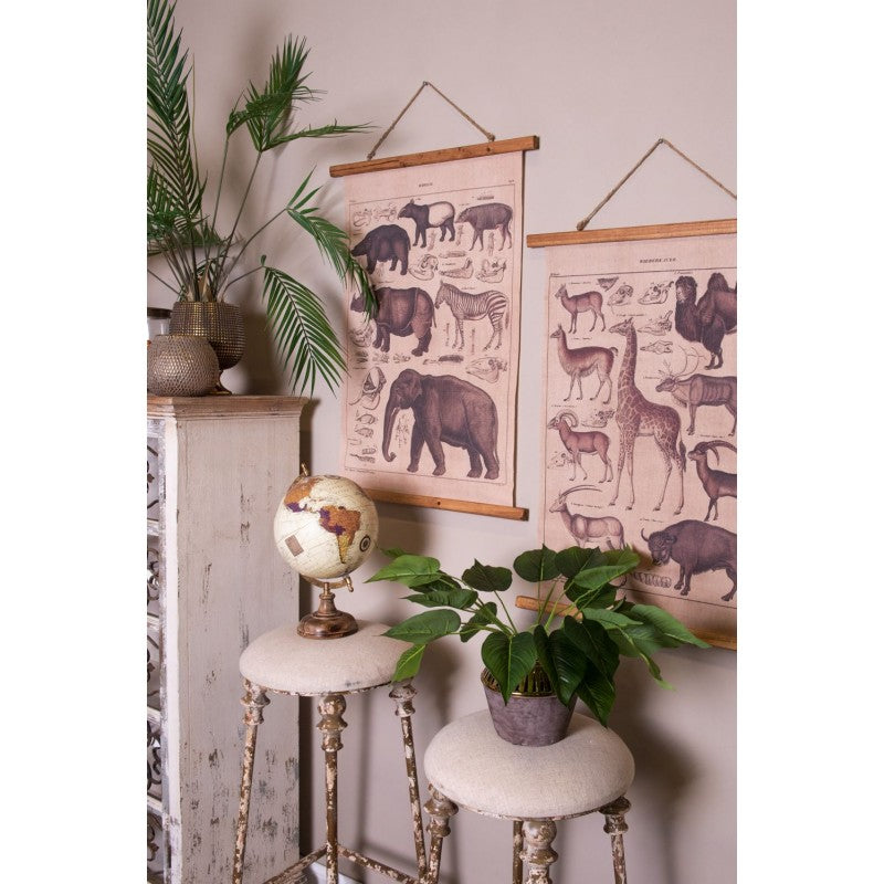 Hoker prowansalski Belldeco