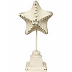 Figurka rozgwiazda dekoracyjna Clayre Eef