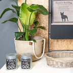 Legowisko dla małego psa rattanowe szare Clayre Eef